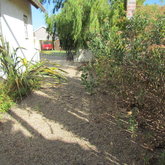 Pet-friendly enclosure behind the cottage